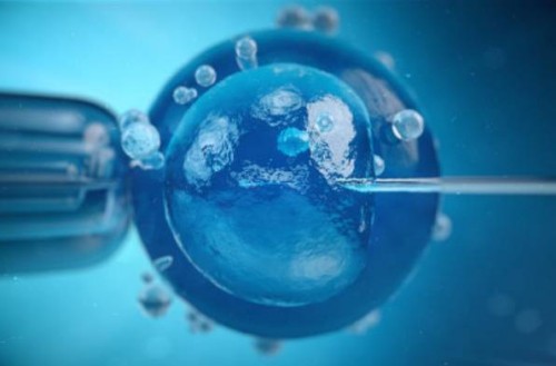 2023天津一中心试管婴儿成功怀孩子策略，费用及成功率参考