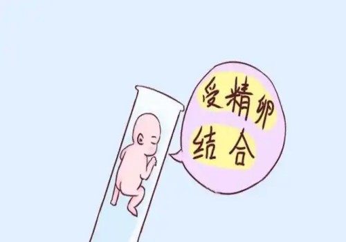 免疫性不孕怎样治疗？采取三种措施治疗免疫性不孕