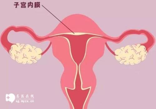 新生儿这种睡觉姿势最佳，若错误家长一定要纠正