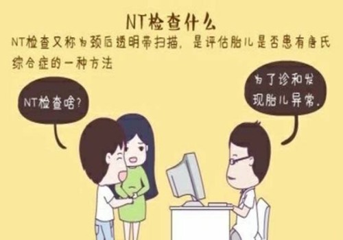 胚胎培养需要多长时间,试管一般培育几个胚胎